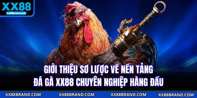 Giới thiệu sơ lược về nền tảng đá gà XX88 chuyên nghiệp hàng đầu