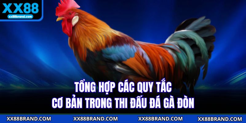 Tổng hợp các quy tắc cơ bản trong thi đấu đá gà đòn